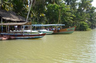 Poovar, Backwater Cruise,_DSC_8674_H600